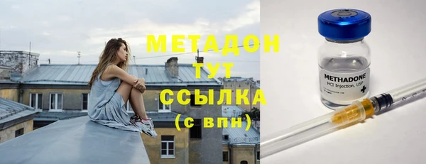 прущие грибы Алексеевка