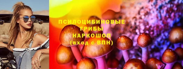 прущие грибы Алексеевка